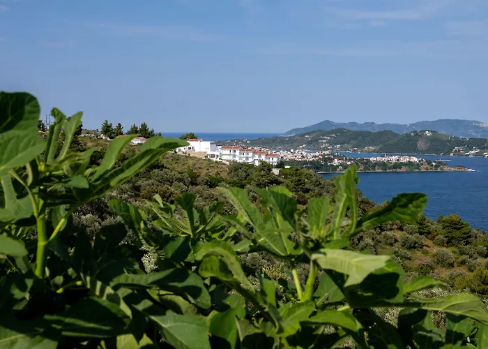 Oniro Skiathos 4* Katsaros (Skiathos)